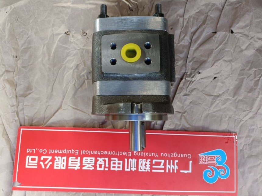 IPVP5-50-101福伊特齒輪泵 IPVP5-50-111福伊特齒輪泵 IPVP5-64-101福伊特齒輪泵